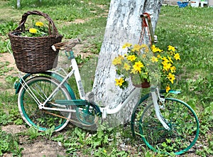 Reconstructed bike