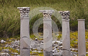 Reconstructed Classic Columns at Perga photo