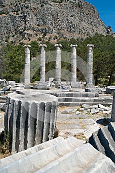 The reconstructed columns of the Temple of Athena photo
