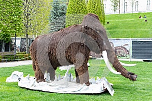 Reconstructed models of a mammoth. The park of dinosaurs in Palas Public Garden in Iasi near Palatul culturii or The Palace of