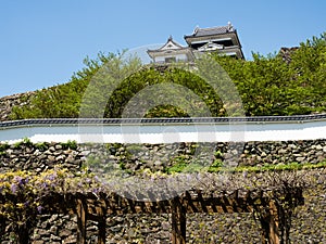 View of Ozu castle - Ehime prefecture, Japan photo