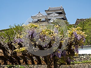 View of Ozu castle - Ehime prefecture, Japan photo