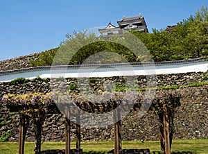 View of Ozu castle - Ehime prefecture, Japan photo