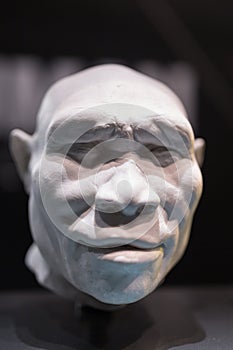 Reconstruction of the Head of Homo Erectus Adult Man