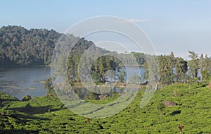 Panorama of Patenggang lake in the afternoon photo