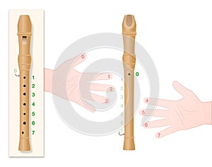 Recorder Hand Finger Position Flute Handling Covered Holes