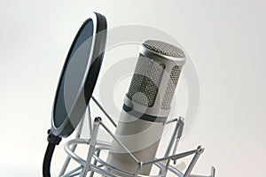 Recording microphone filter