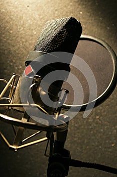 Recording Studio Microphone with sound filter