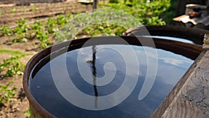 Recovery of rainwater in a garden.