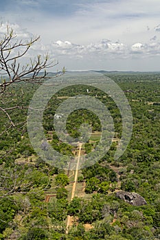 Recreated paths of formal palace gardens  below the Lion Rock