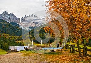 Recreation area in the Alps with a yellow rowan trees and peaks of Dolomites