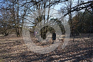 Recreation area for Berliners. Mittelheide, Berlin, Germany photo