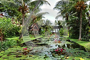 Recreation area at the luxury hotel