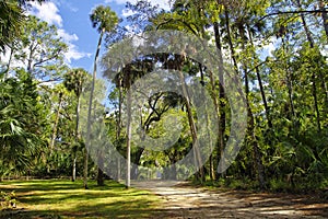 The recreation area in the Ocala National Forest located in Juniper Springs Florida