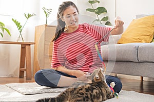 Recreation, beautiful owner kitten asian young woman, girl happy face in free time in casual holding toy playing with lovey cat,