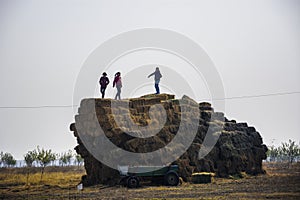 Recreation at `Calin, file din povestile Malinei` farm and touristic rural place in Targusor, Romania