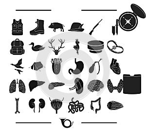 Recreation, hunting, entertainment and other web icon in black style.study, attributes, nature icons in set collection.