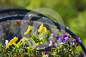 Recreation place detail with flowers and nets