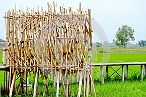 A recreation place made of bamboo.