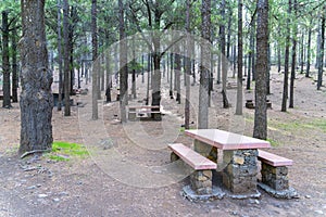 Recreation place in the woods in Gran Canaria