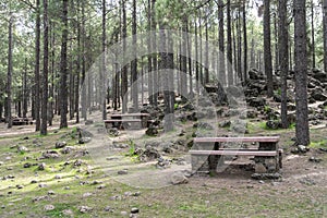 Recreation place in the woods in Gran Canaria