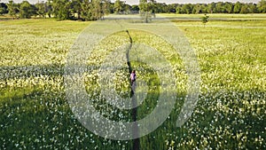 Recreation vacation at blossom flowers top down aerial. Woman ride on bike at field. Traveler girl