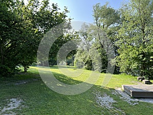 Recreational park with alluvial forest next to the Old Rhine Nature Park, Lustenau - Erholungspark mit Auwald