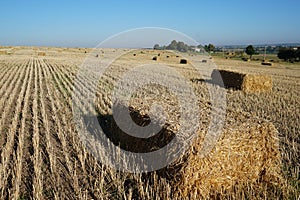 Rectangular bale of straw in the field