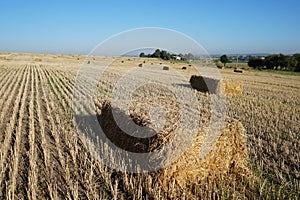 Rectangular bale of straw in the field