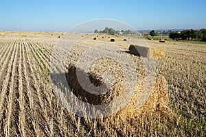 Rectangular bale of straw in the field