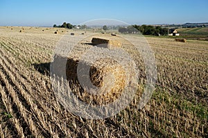 Rectangular bale of straw in the field