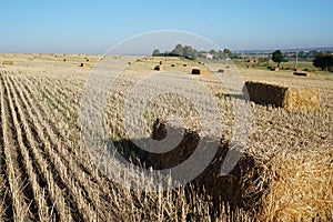 Rectangular bale of straw in the field