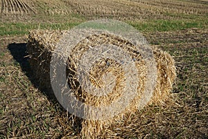 Rectangular bale of straw in the field
