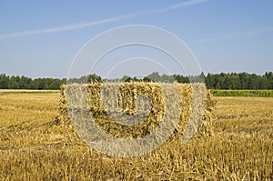 Rectangular bale of straw in the field