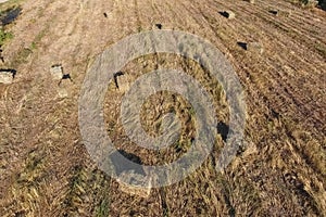Rectangular bales of hay on the field. Hay