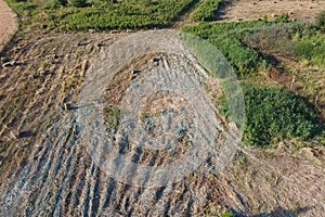 Rectangular bales of hay on the field. Hay