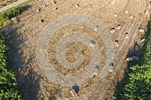 Rectangular bales of hay on the field. Hay