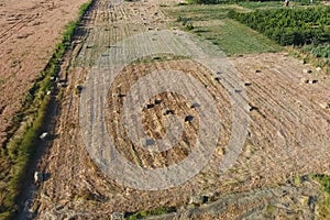 Rectangular bales of hay on the field. Hay