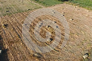 Rectangular bales of hay on the field. Hay