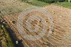 Rectangular bales of hay on the field. Hay