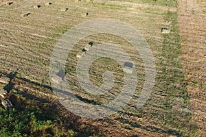 Rectangular bales of hay on the field. Hay