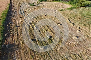 Rectangular bales of hay on the field. Hay