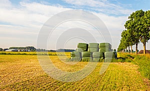 Rectangular bales  of hay wrapped with green plastic film and stacked on the field