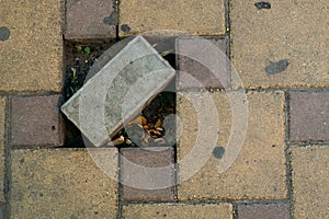 Rectangular brick in the square compartment of the road surface