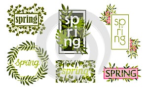Rectangular and Circular Frames and Borders with Green Twigs and Pink Flowers Vector Set