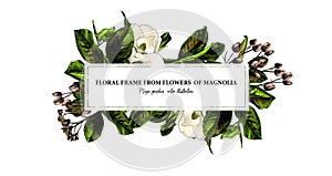 Rectangular elongated frame decorated with Magnolia flowers and leaves photo