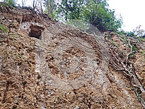 The rectangular entrance to Etruscan tombs carved in the wall of a tufo cliff photo