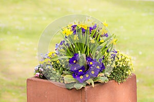 Rectangular flower pot in a park