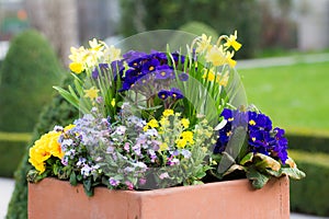 Rectangular flower pot in a park