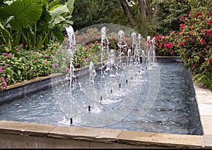 Rectangular fountain lined with plants and flowers at the Dallas Arboretum and Botanical Garden in Texas.